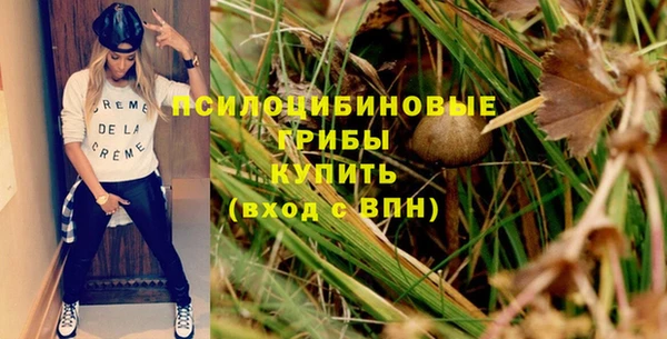 альфа пвп Каменка