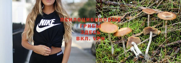 трава Каменск-Шахтинский